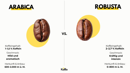 Arabica vs Robusta – Unterschiede, Geschmack, Koffeingehalt & Anbau im Vergleich.