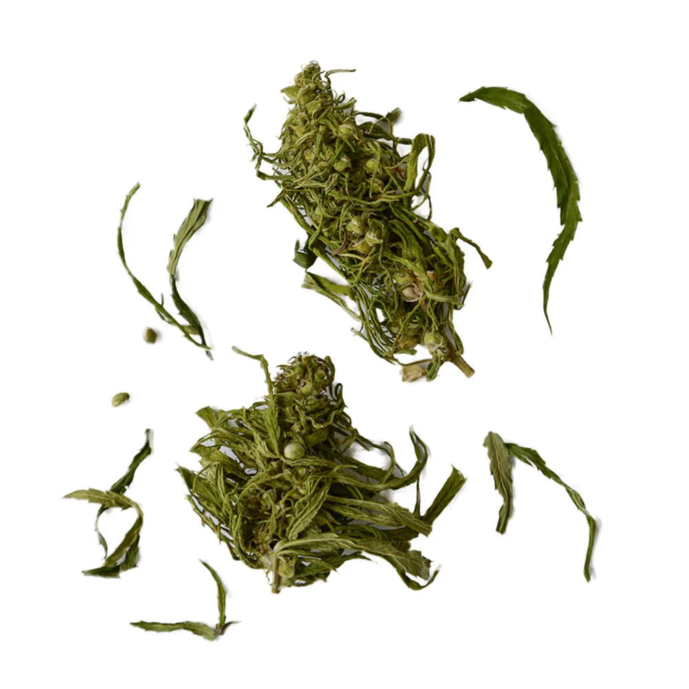 Hanftee Dvaro Kavos, 15 g